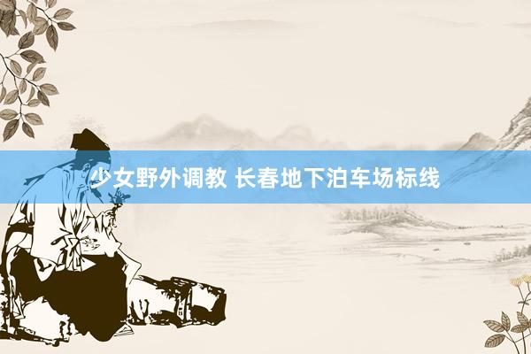 少女野外调教 长春地下泊车场标线