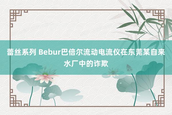 蕾丝系列 Bebur巴倍尔流动电流仪在东莞某自来水厂中的诈欺