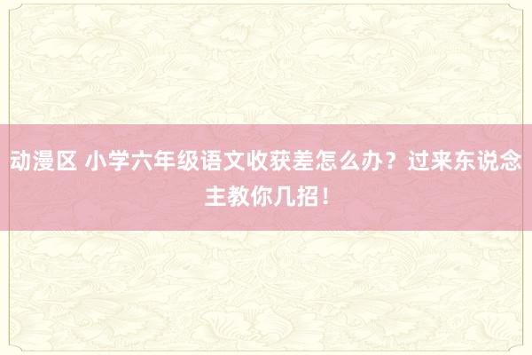 动漫区 小学六年级语文收获差怎么办？过来东说念主教你几招！