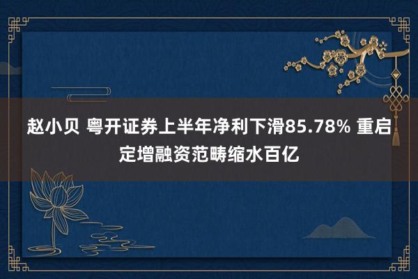 赵小贝 粤开证券上半年净利下滑85.78% 重启定增融资范畴缩水百亿