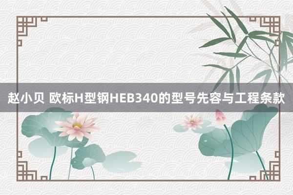 赵小贝 欧标H型钢HEB340的型号先容与工程条款