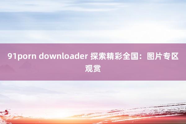 91porn downloader 探索精彩全国：图片专区观赏