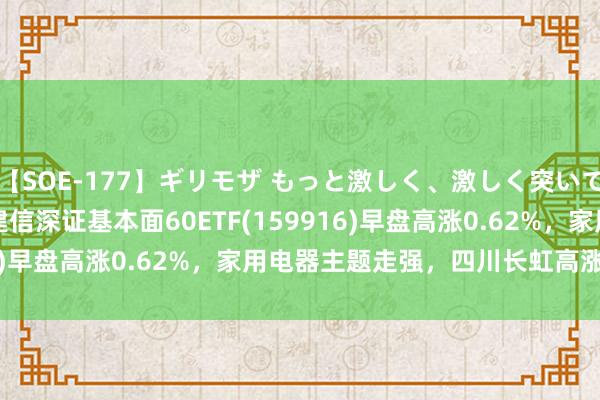 【SOE-177】ギリモザ もっと激しく、激しく突いて Ami ETF最前列 | 建信深证基本面60ETF(159916)早盘高涨0.62%，家用电器主题走强，四川长虹高涨10.04%