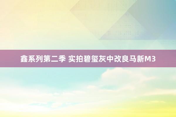 鑫系列第二季 实拍碧玺灰中改良马新M3