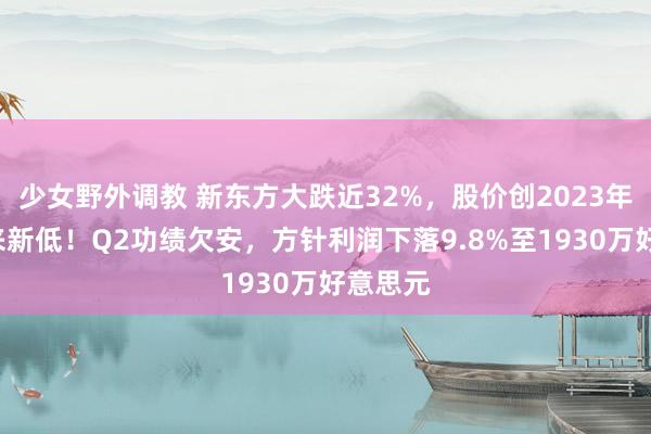 少女野外调教 新东方大跌近32%，股价创2023年7月以来新低！Q2功绩欠安，方针利润下落9.8%至1930万好意思元