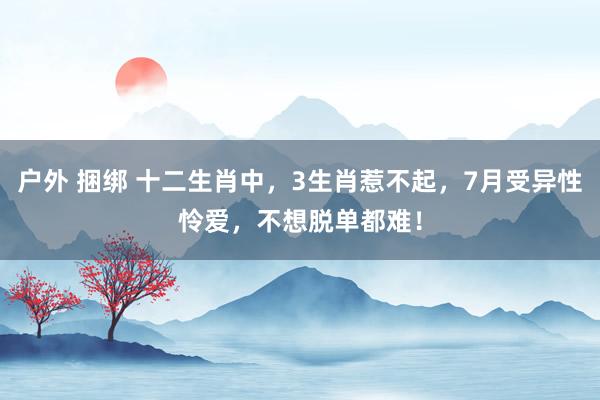户外 捆绑 十二生肖中，3生肖惹不起，7月受异性怜爱，不想脱单都难！