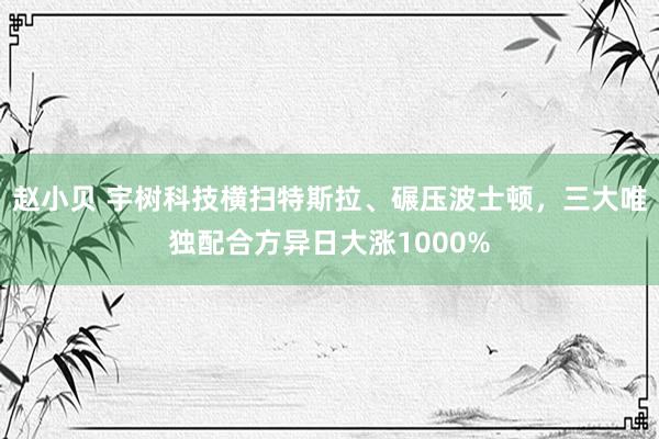 赵小贝 宇树科技横扫特斯拉、碾压波士顿，三大唯独配合方异日大涨1000%