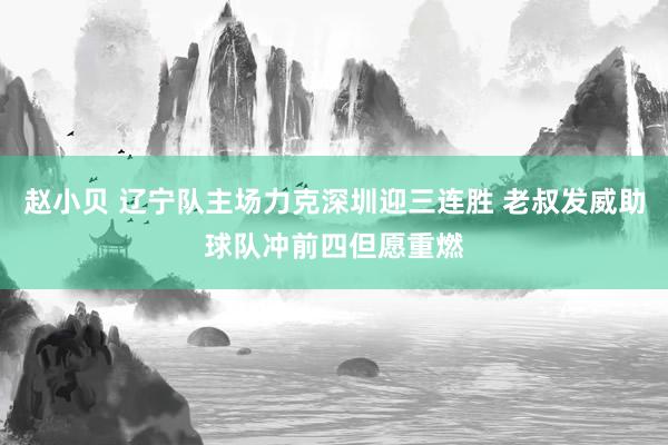 赵小贝 辽宁队主场力克深圳迎三连胜 老叔发威助球队冲前四但愿重燃