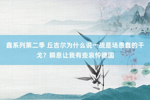 鑫系列第二季 丘吉尔为什么说一战是场愚蠢的干戈？瞬息让我有些哀怜德国