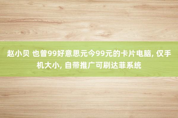赵小贝 也曾99好意思元今99元的卡片电脑， 仅手机大小， 自带推广可刷达菲系统