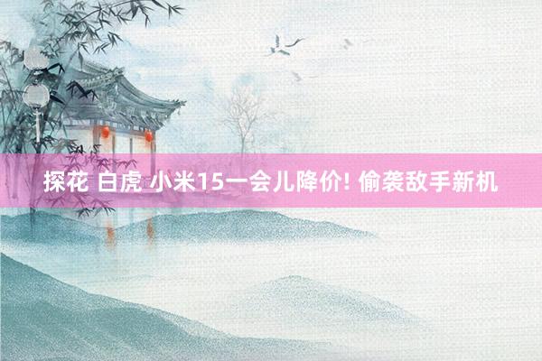 探花 白虎 小米15一会儿降价! 偷袭敌手新机
