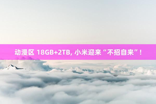 动漫区 18GB+2TB， 小米迎来“不招自来”!