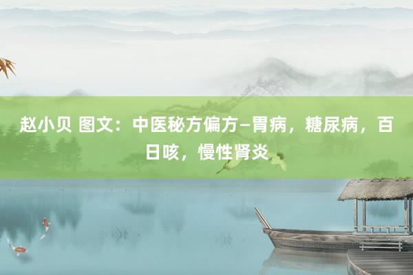 赵小贝 图文：中医秘方偏方—胃病，糖尿病，百日咳，慢性肾炎