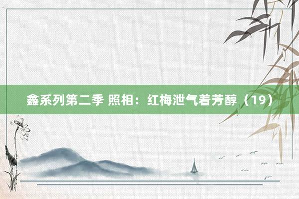 鑫系列第二季 照相：红梅泄气着芳醇（19）