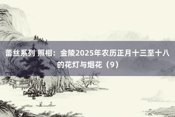 蕾丝系列 照相：金陵2025年农历正月十三至十八的花灯与烟花（9）